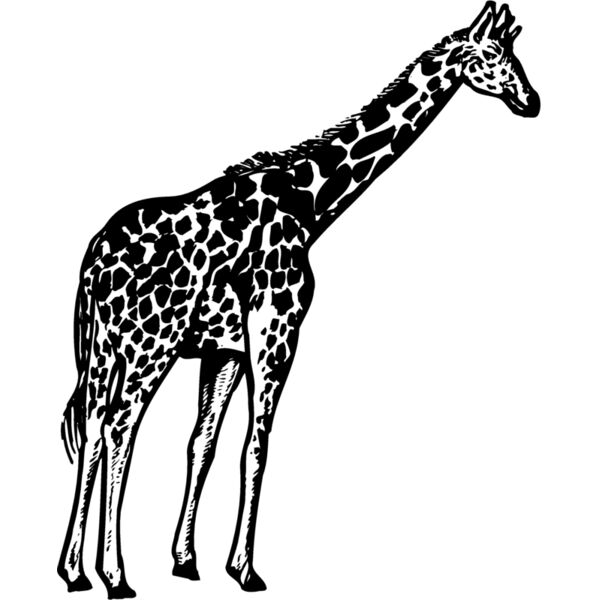 GIRAFF02 Thumbnail