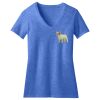 Women's Perfect Blend ® CVC V Neck Tee Thumbnail