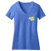 Women's Perfect Blend ® CVC V Neck Tee Thumbnail