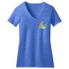 Women's Perfect Blend ® CVC V Neck Tee Thumbnail