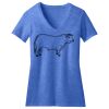 Women's Perfect Blend ® CVC V Neck Tee Thumbnail