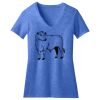 Women's Perfect Blend ® CVC V Neck Tee Thumbnail