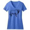 Women's Perfect Blend ® CVC V Neck Tee Thumbnail