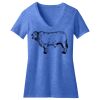 Women's Perfect Blend ® CVC V Neck Tee Thumbnail