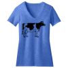 Women's Perfect Blend ® CVC V Neck Tee Thumbnail