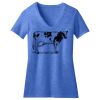 Women's Perfect Blend ® CVC V Neck Tee Thumbnail