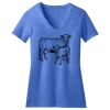 Women's Perfect Blend ® CVC V Neck Tee Thumbnail