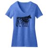 Women's Perfect Blend ® CVC V Neck Tee Thumbnail