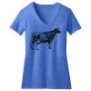 Women's Perfect Blend ® CVC V Neck Tee Thumbnail