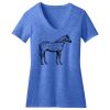 Women's Perfect Blend ® CVC V Neck Tee Thumbnail