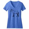 Women's Perfect Blend ® CVC V Neck Tee Thumbnail