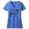 Women's Perfect Blend ® CVC V Neck Tee Thumbnail