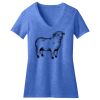 Women's Perfect Blend ® CVC V Neck Tee Thumbnail