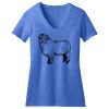 Women's Perfect Blend ® CVC V Neck Tee Thumbnail