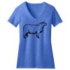 Women's Perfect Blend ® CVC V Neck Tee Thumbnail