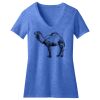 Women's Perfect Blend ® CVC V Neck Tee Thumbnail